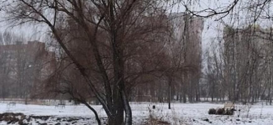 Старовинний календар обіцяє Європі сувору зиму: коли чекати перших снігопадів