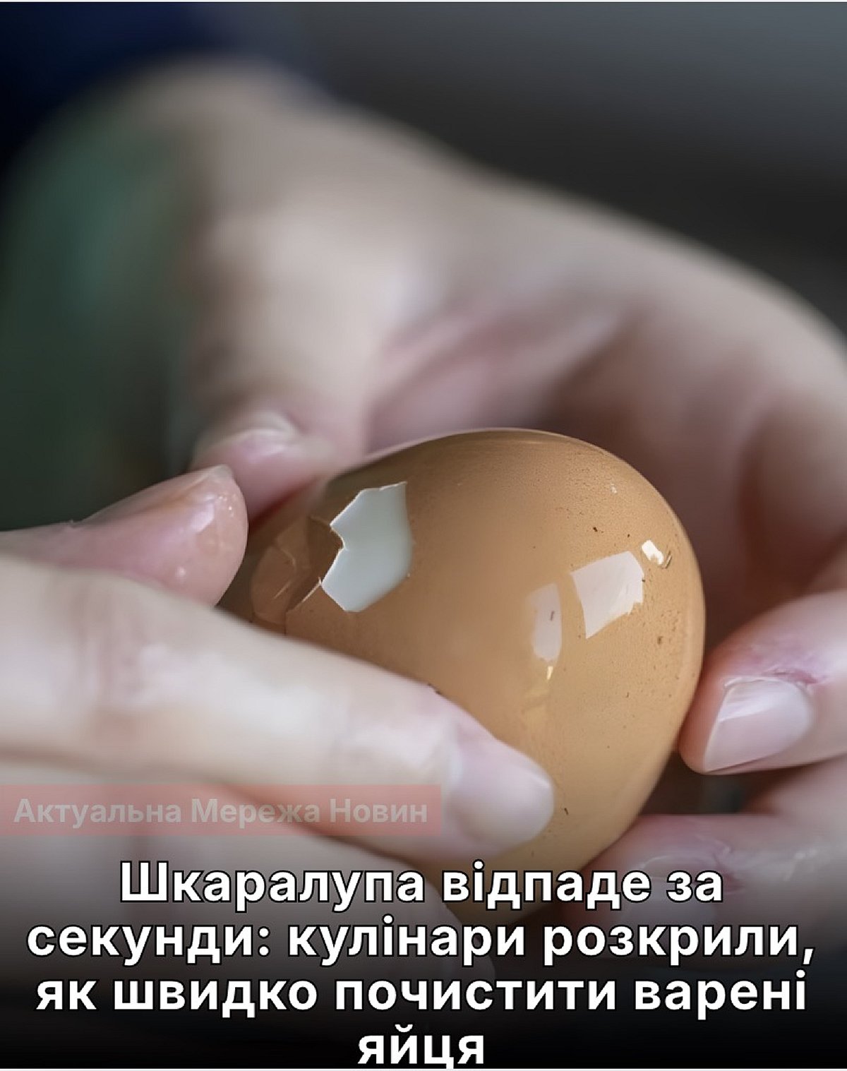 Замість довгих мук зі шкаралупою: варені яйця тепер чистяться в один рух