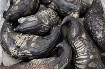 Порятунок від продовольчої кризи: забутий дикорос із неоліту хочуть повернути на поля