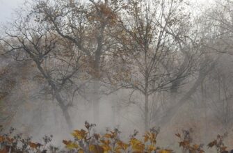 Україну накриють сильні дощі та небезпечний туман уже 12 жовтня