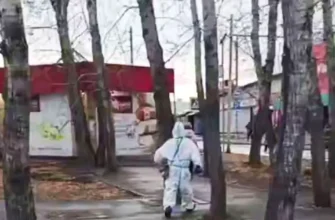 У РФ спалахнула чума: у Сибіру запроваджують масовий карантин після загадкової загибелі лікарки