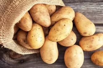 Замість хрустких брусочків — каша на сковороді: розкрито головну помилку з сортами картоплі