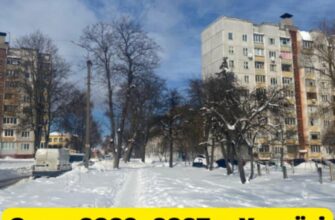 Синоптики дали перший прогноз на зиму в Україні й попередили про посилення Ель-Ніньйо